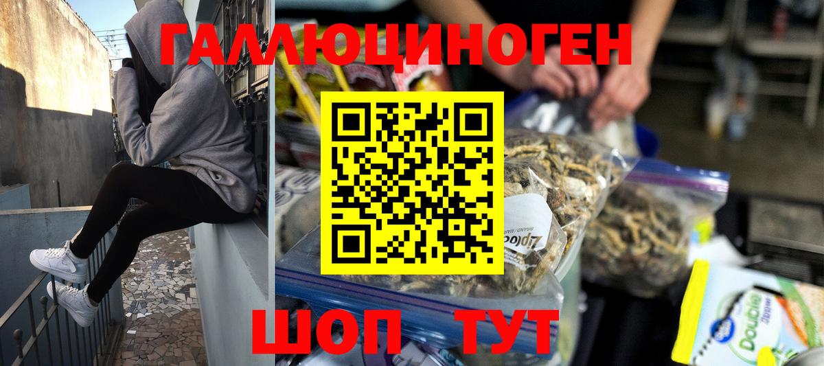 где купить   Вход с VPN  Белорецк  Псилоцибиновые грибы Psilocybe  Псилоцибиновые грибы мицелий 